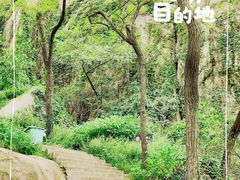 -青岛大珠山景区