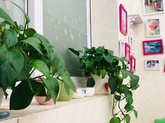 -清真马记宫廷奶酪(农光里店)