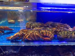 -同庆楼(天鹅酒家店)