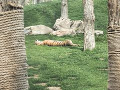 -北京野生动物园