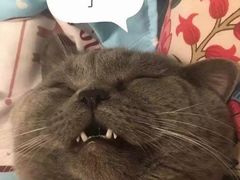 -深圳佑诺口腔门诊部