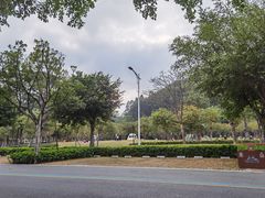 -顺峰山公园