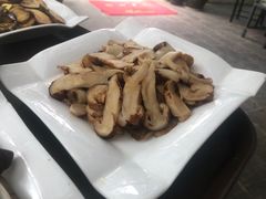 -蘑统田下·野生菌火锅