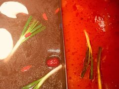 -渡娘火锅(大兴大悦春风里店)