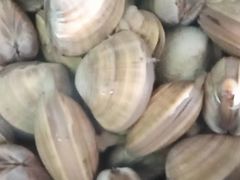 -锋味海鲜菜馆