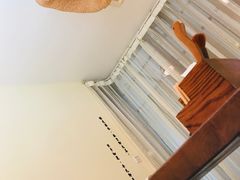 -小茶闲舍·观景商务茶馆(广州塔店)