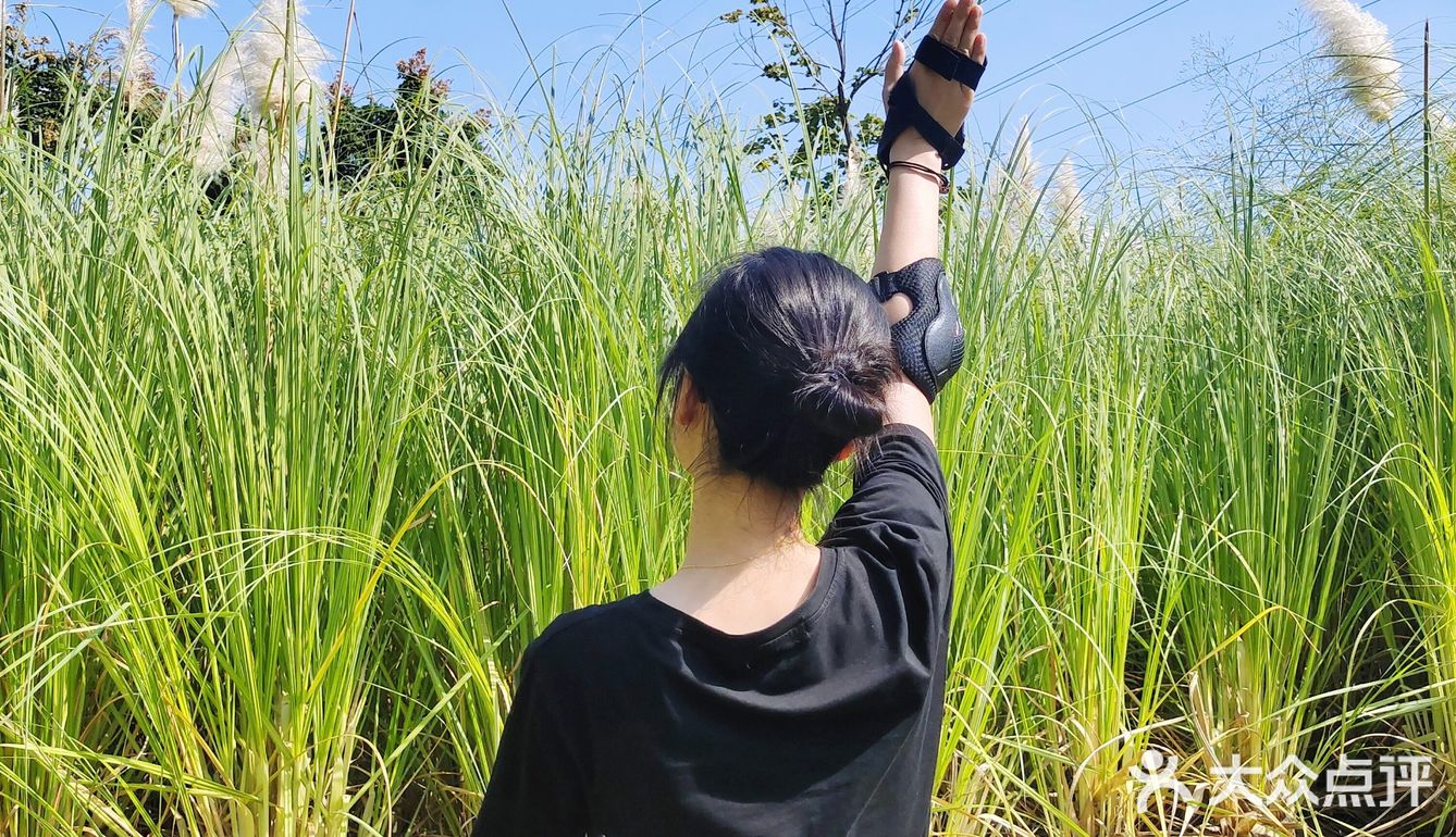 【成都玩乐】芦苇地疯狂自拍的滑板少女