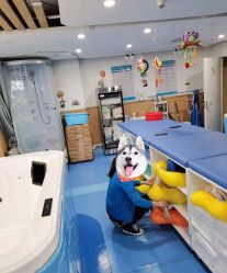-马博士婴幼儿游泳馆(广安门旗舰店)