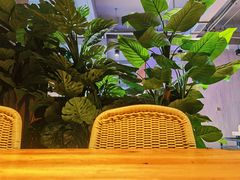 -窦四牛杂面(总店)