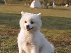 -钟山体育运动公园