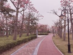 -芒洲湿地公园