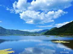 -腾冲北海湿地