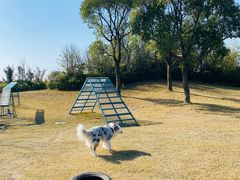 -上海崇明金茂凯悦酒店