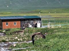 -新疆那拉提国家旅游度假区
