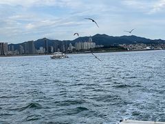 -刘公岛景区