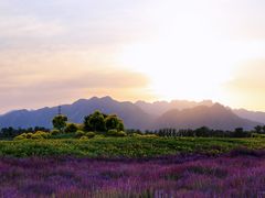 -十三陵水库