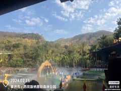 -西双版纳原始森林公园