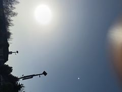 -秦始皇帝陵博物院-丽山园