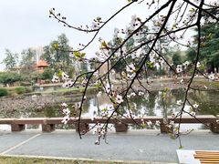 -四川大学(望江校区)