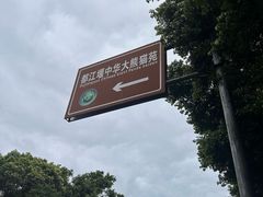 -都江堰中华大熊猫苑