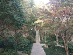 -乌山风景区