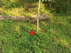 -北马山庄植趣咖啡