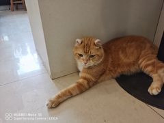 -平行世界·猫咖(首经贸店)