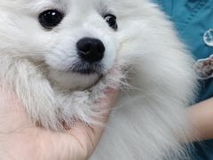 -联合动物医院(光谷诊疗中心)