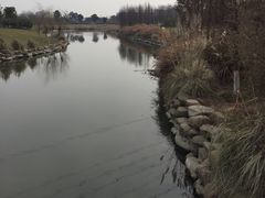 -九里河湿地公园