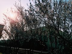 -上海大学(嘉定校区)