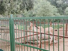 -秦皇岛野生动物园