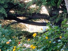 -国家植物园南园