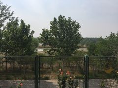 -北京麋鹿生态实验中心