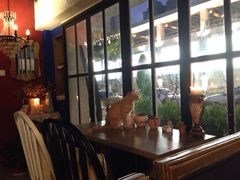 iphone_upload_pic-静香HOUSE·全时段融合餐厅(七星欢乐颂店)