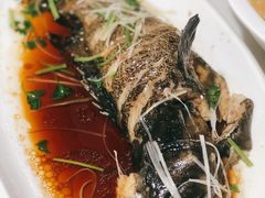 清蒸石斑鱼-前王院•巧克力海鲜市集餐厅(万平口店)