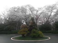 -南京东郊国宾馆