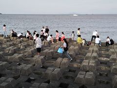 -野狸岛