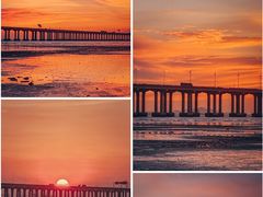 -宝安西湾红树林湿地公园