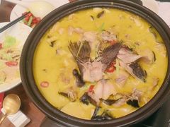 -鲁宴·鲁煨黄河生态大鲤鱼(月坛店)