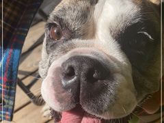 -小龍鳳餐室(番禺路店)