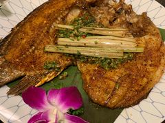 -紫滇源云南生态菜(丹凤街店)