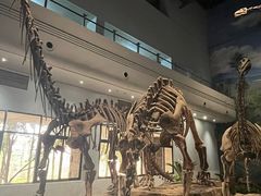 -自贡恐龙博物馆