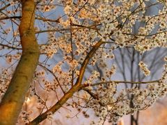 -安定门(地铁站)