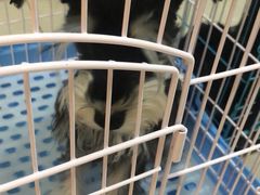 -乐宠宠物店(世纪金源店)