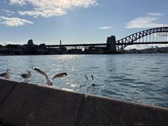 -悉尼歌剧院