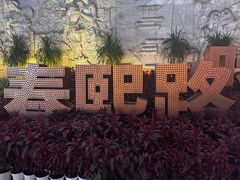 -春熙路步行街