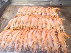 阿根廷红虾-汉巴味德(大悦城店)