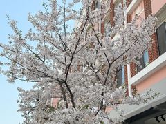 -上海瑞金洲际酒店