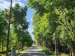 -昆山城市生态森林公园