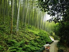 -东明山森林公园